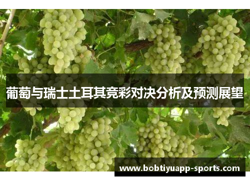 葡萄与瑞士土耳其竞彩对决分析及预测展望